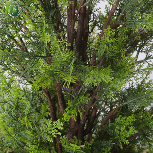 Árbol <span class=keywords><strong>de</strong></span> <span class=keywords><strong>Cedro</strong></span> Artificial Realista, Resistente al Agua y Ecológico, Personalizado, para Decoración Interior y Exterior - Product Image 2