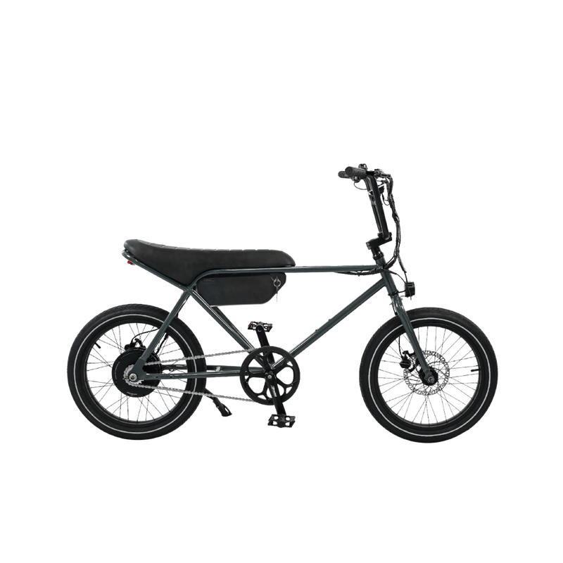 Lithium ion Electric Bicycle Adult Portable