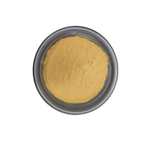 Extrait d'écorce <span class=keywords><strong>de</strong></span> <span class=keywords><strong>saule</strong></span> blanc certifié ISO 98 salicine 98% - Product Image 2