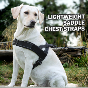 بيع بالجملة نايلون عالي الجودة مع سبيكة عاكسة حزام تتبع متين وآمن للكلاب - Product Image 2