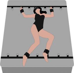 Kit de bondage BDSM - Kit de sangles de bondage amélioré sous <span class=keywords><strong>le</strong></span> matelas avec menottes, attaches de cheville et attaches <span class=keywords><strong>pour</strong></span> <span class=keywords><strong>le</strong></span> <span class=keywords><strong>lit</strong></span> - Product Image 1