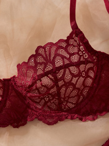 Floral Lace Womens Intimates <b>Sexy</b> Lingerie <b>Set</b> Sheer Mesh Underwire Bra and Thong Panties Elegant Womens Bra <b>Set</b> OEM ODM - Product Image 5