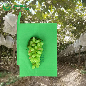High Quality Mango Grapes Protective Paper Bag For Covering Fruit High Quality Mango Grapes Protective Paper Bag For Covering Fruit