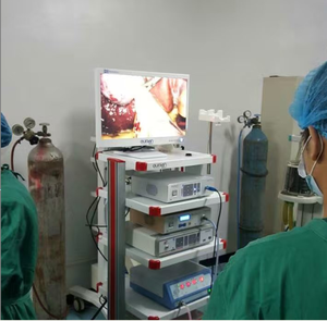 Dụng Cụ Phẫu Thuật Đặt Máy Trạm Bệnh Viện Di Động Xe Đẩy Kim Loại Y Tế Cho Nội Soi - Product Image 5