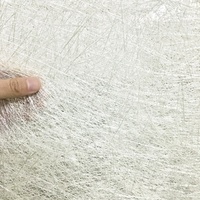 Tapis de fibres de verre transparentes à brins coupés, type E-Glass, compatible résine, pour réparation de bateaux et tables, découpe sur mesure, 450