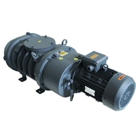 Pompa Vakum Roots DLT LC1200 1200m/h 5.5 HP Pompa Booster Tekanan Rendah Industri Besi OEM Tegangan Motor Dapat Disesuaikan Pemesinan