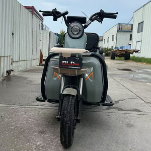 Le tout nouveau tricycle à grande puissance pour adultes avec le meilleur prix - Product Image 6
