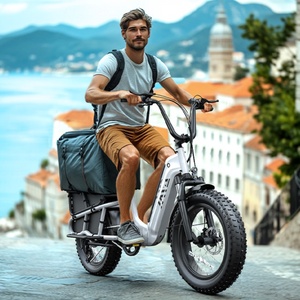 Zerogo K008 bicicleta eléctrica personalizada 500W 20 pulgadas asientos dobles pantalla Lcd + aplicación bicicleta eléctrica para adultos Fat Tire Ebike - Product Image 2