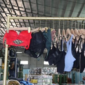 Reggiseni Usati di Alta Qualità all'Ingrosso, Biancheria Intima Sportiva in Cotone, Felpe - Product Image 2
