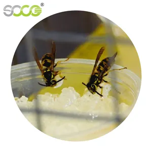 Super Penyerap Polimer Tulang Kering Toaches Cacing Lebah Super Gel Air Serangga Pengumpan Serangga - Product Image 2