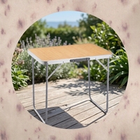 Moderner Leichtgewichtiger Wasserdichter Tragbarer Billardtisch Höhenverstellbar Wandmontierbar Faltbarer Aluminiumrahmen Outdoor-Möbel