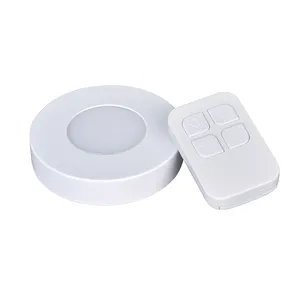 Factory Promotion Price Led Cabinet Light Under Cabinet Light With Remote Control White