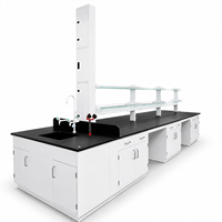 Îlot de laboratoire sur mesure tout acier avec colonne de service, évier, station de lavage des yeux et support à réactifs