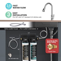 Filter Air Pra-Pemurnian DW15 di Bawah Wastafel dari Kiki Water Filter, Menghilangkan Timbal dan Fluorida