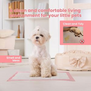 Vente en gros usine : Tapis d'apprentissage jetables écologiques pour chiens, haute qualité, sept couches, super absorbants, anti-fuites et anti-odeurs - Product Image 3