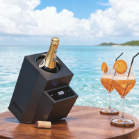 Refroidisseur à vin électrique rechargeable sans fil pour restaurant, hôtel, refroidisseur de bouteille à distance