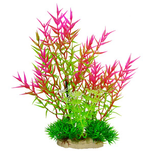 2025 Nieuwe Duurzame Plastic <span class=keywords><strong>Aquarium</strong></span> <span class=keywords><strong>Aquarium</strong></span> <span class=keywords><strong>Aquarium</strong></span> <span class=keywords><strong>Aquarium</strong></span> Planten Met Zeewier En Koraal Groothandel Tassen Verpakking - Product Image 1