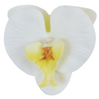 Taartdecoratie Bloem 3D Geprinte Lijm Afgewerkte Tactiele Zijde Phalaenopsis Orchidee Enkelvoudige Bloem DIY Snoepdoos Accessoire 50 Stuks
