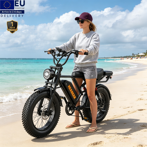 Bicicleta Eléctrica Urbana Todoterreno HEADEER BK20 250W 48V 20Ah con Batería, Entrega en la UE, Bicicleta Híbrida Eléctrica - Product Image 1