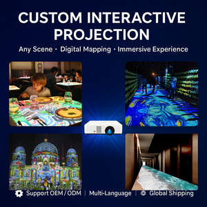 <span class=keywords><strong>Art</strong></span> <span class=keywords><strong>immersif</strong></span> de projection de bâtiment 3D d'affichage numérique personnalisable pour des événements d'espace public - Product Image 6