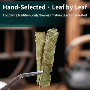 Chá de Folha de <span class=keywords><strong>Loquat</strong></span> Natural Seco da China em Folhas Soltas Pi Pa Ye Folhas de <span class=keywords><strong>Loquat</strong></span> Atacado - Product Image 5