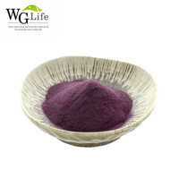 Haute qualité 25% anthocyanines extrait de baies d'açai poudre de jus de fruits naturel pour boissons de beauté en gros tambour d'extrait de plantes