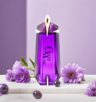 Parfum Alien Ambre Lady Angel avec un vaporisateur d'Eau De Toilette 100ml de Brume Corporelle Parfum Longue Durée Vente en Gros