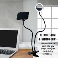 Anneau lumineux LED pour selfie de 4 pouces avec clip de bureau et support de téléphone portable, éclairage à 360 degrés du fabricant