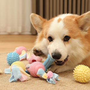 Đồ chơi nhai an toàn TPR chống cắn bán buôn cho chó, đồ chơi thú cưng nhiều màu sắc vui nhộn, đồ chơi tương tác giúp mài răng và huấn luyện thú cưng - Product Image 1