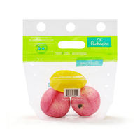 Sacs de conservation personnalisés refermables anti-buée perforés pour légumes et fruits frais avec fermeture éclair et trou d'aération