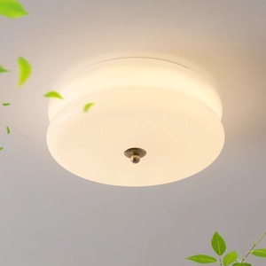 Cream <b>Ceiling</b> <b>Light</b> 32cm 40cm Led Surface Mounted Home Ambient Lighting For Bedroom Hallway Entryway - Product Image 2