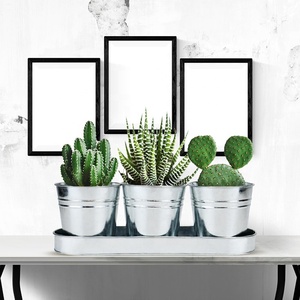 Ensemble de pots de plantes, pots pour plantes succulentes avec plateau et trous de drainage - Pots de plantes succulentes en métal galvanisé pour plantes d'intérieur et d'extérieur - Product Image 5