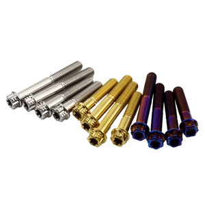 Tornillo de Brida Torx de Titanio Azul Quemado Personalizado de Venta Caliente para Motocicleta, Tornillos de Titanio Gr5 M6 - Product Image 2