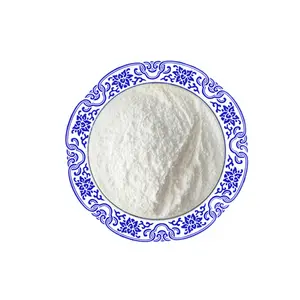 Food Preservative E235 Natamycin CAS 7681-93-8 50% 95% Pimaricin Powder