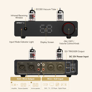 AIYIMA T20 Heimverstärker mit ECC83-Vakuumröhrenvorverstärker, vollsymmetrisch, 12V-Trigger-Ausgang, RCA-XLR-Eingang, HiFi-Stereo-DAC-AMP - Product Image 2