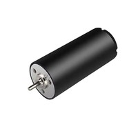 Motor Mikro DC Brush Hollow Cup 30mm 3060 Bersertifikasi ROHS untuk Alat Kosmetik, Tongkat Pijat, Pesawat, Robot, Elektronik, Dapat Disesuaikan