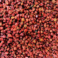 Poivre rouge de l'Himalaya marqué GI, avec une intensité de 100 000 à 350 000 SHU, arôme fruité distinctif et origine traçable du Sikkim.