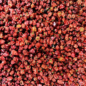 Pimiento Rojo del Himalaya con etiqueta GI, con un aroma frutal distintivo de 100,000–350,000 SHU y origen rastreable en Sikkim. - Product Image 1