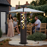 Chauffe-terrasse extérieur autonome en acier de 1 mètre de haut, à gaz ou à granulés de bois, avec tube en verre