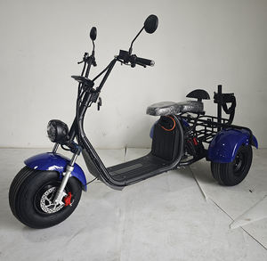 2026 3-Wheel Cargo Driewieler Gemotoriseerde Motorfiets Truck Voor Volwassenen Citycoco 2000W Elektrische Scooter 200-300Kg Laadvermogen 30-50 Km/h - Product Image 1