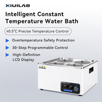 Appareils thermostatiques de laboratoire Bain d'eau Affichage LCD Contrôleur PID 220V Circulateur de chauffage pour laboratoires