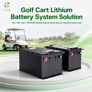 Batería de Litio para Carro de Golf CTS, Precio de Fábrica, 36V 48V 72V, 105Ah 150Ah, Ciclo Profundo, OEM ODM H-AK-51135-1, Batería de 48V para Carro de Golf H - Product Image 4