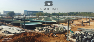 Unique RAS tuần hoàn nuôi trồng thủy sản hệ thống nuôi cá bể nuôi tôm trong nhà để bán vật liệu mới Ao - Product Image 3