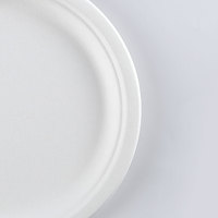 Partie Plateau Bagasse Pulpe Jetable Alimentaire Gâteau Fruits Plateau Assiette