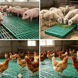 <strong>Turnkey</strong> Solution Compact Efficient Farming Manure Board <strong>Pig</strong> <strong>Farm</strong> Feeding System High Quality <strong>Pig</strong> Floor for Wholesale <strong>Farm</strong> Supply - Product Image 1