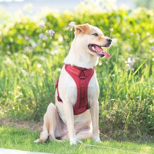 Arnés para Perro Sunraymascota Fabricante del Reino Unido Nuevo Producto 2025 Premium Personalizado de Lujo Táctico Antitirones - Product Image 6