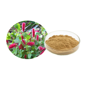 Extracto de Hierba de Cobre Silvestre en Polvo 20:1 P.E. Extracto de Herba Acalyphae Grado Alimenticio y Medicinal Envasado al Vacío en Tambor - Product Image 1