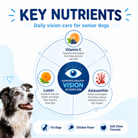 Complément oculaire WANZIBEI OEM/ODM pour chiens : Soutien de la vision avec lutéine, vitamines C et DHA pour une nutrition et une protection oculaires optimales