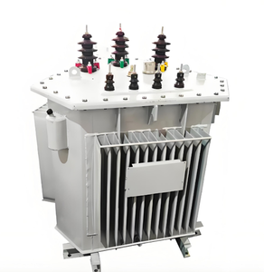 Transformador S13 Sumergido en Aceite con Certificación CE, 30-2500kVA, 10kV/35kV, Trifásico, Aleación Amorfa, Baja Pérdida, 50/60Hz, Toroidal - Product Image 2