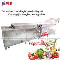 Industriële grootschalige spiraalvormige blancheringsmachine voor aardappelen, kokosvlees, snoep, en zeevruchtenverwerkingslijn, capaciteit 2000 kg/uur